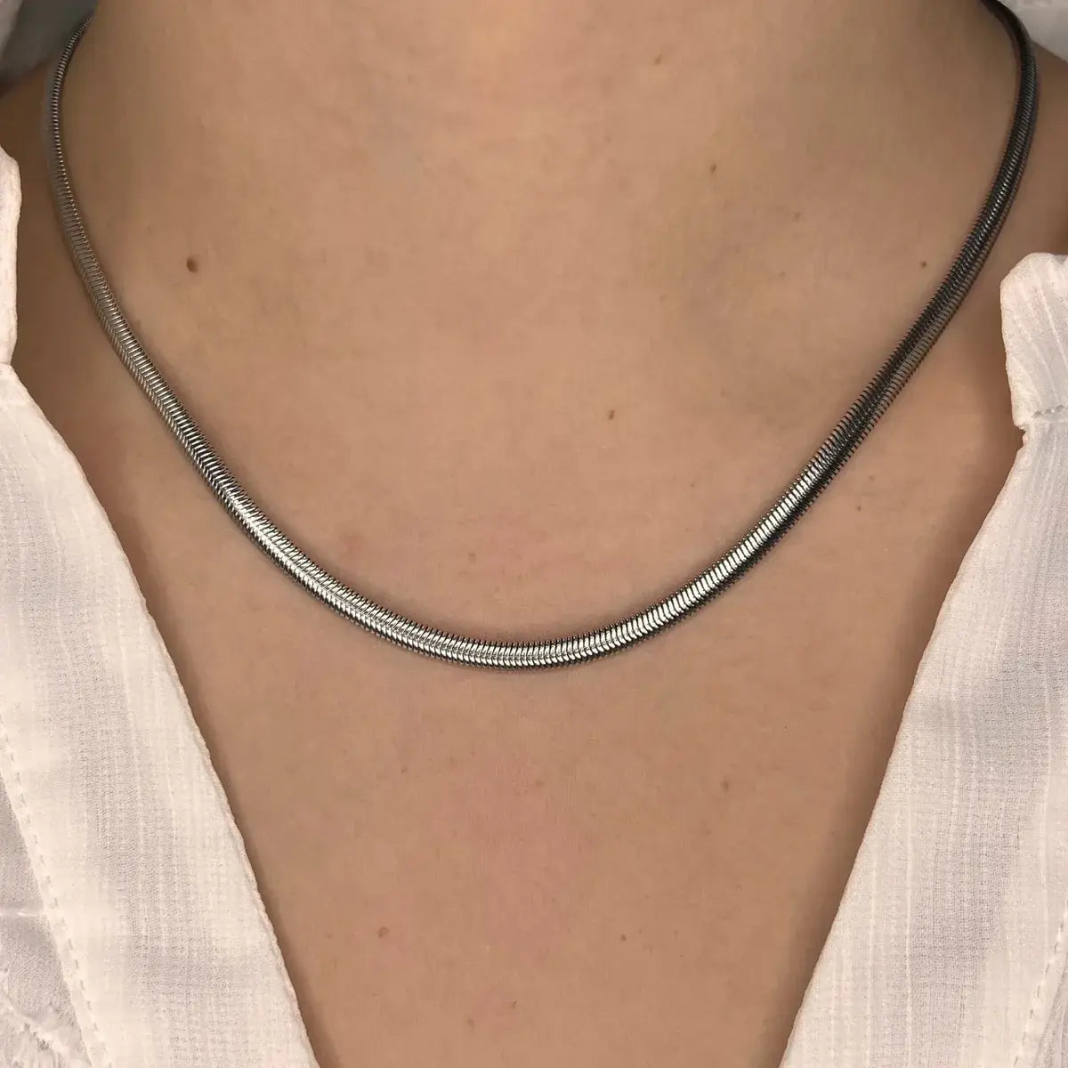 Collier Brasilia en acier inoxydable argenté porté, chaîne fine et plate captant la lumière de manière délicate pour un style intemporel.